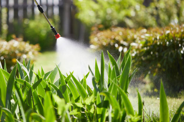 24/7 Emergency Cockroach Control experts in Homer, GA