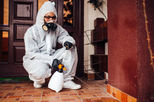 Reliable Cockroach Control contractor in Homer, GA by Nex Pest Control